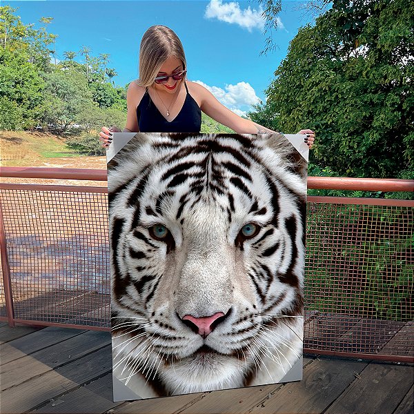 Quadro Decorativo Canvas Animal Selvagem Tigre Branco Olhos Azuis Vertical