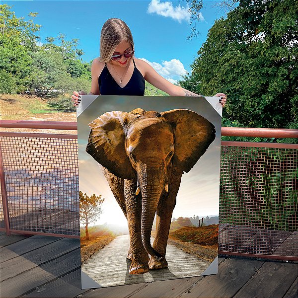 Quadro Decorativo Canvas Animal Selvagem Elefante Caminhando na Estrada Vertical