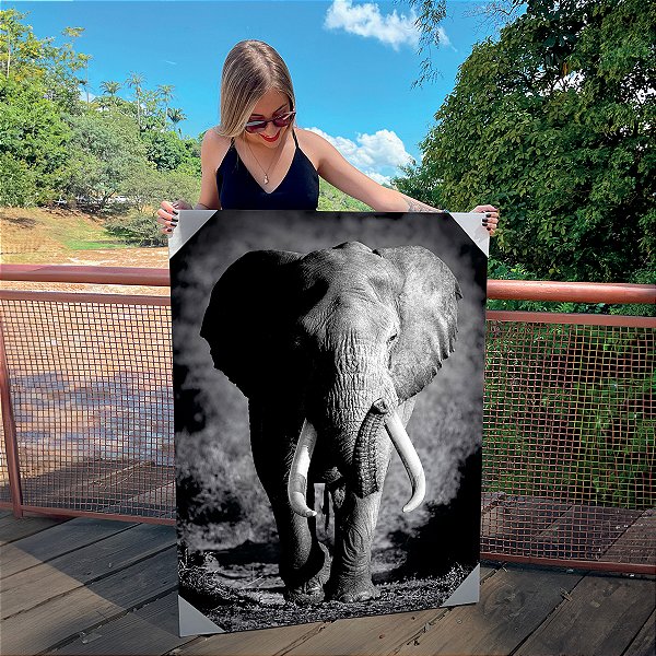 Quadro Decorativo Canvas Animal Selvagem Elefante Preto e Branco Vertical