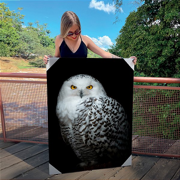Quadro Decorativo Canvas Animais Coruja Branca Fundo Preto Vertical