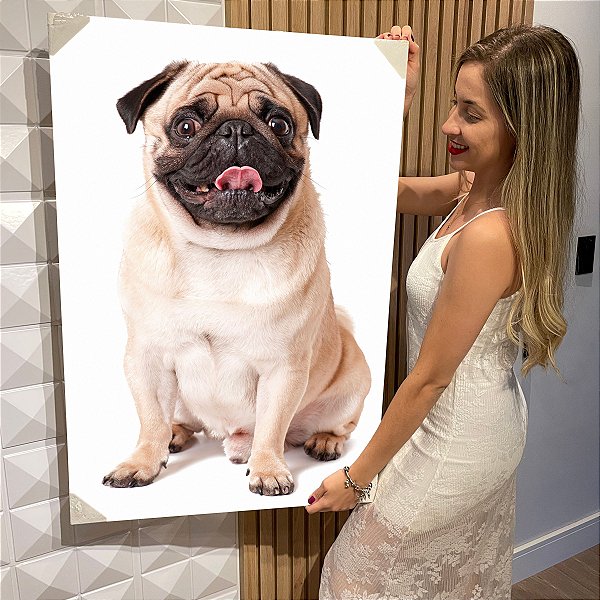 Quadro Decorativo Flutuante Dog Pug Pets Vertical