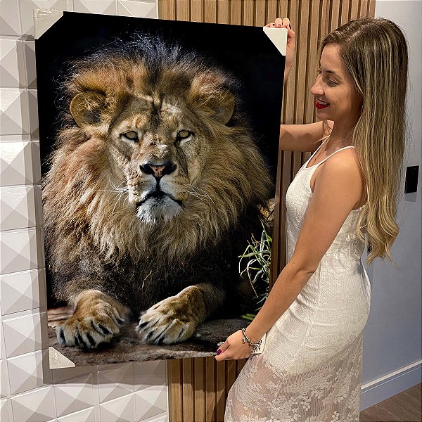 Quadro Decorativo Flutuante Animal Selvagem Tigre Deitado na Grama