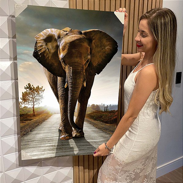 Quadro Decorativo Flutuante Animal Selvagem Elefante Caminhando na Estrada Vertical