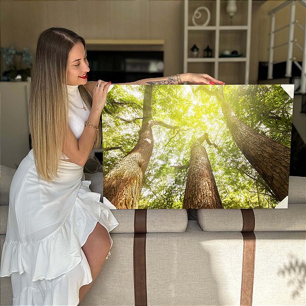 Quadro Decorativo Flutuante Árvores na Floresta ao Amanhecer Horizontal