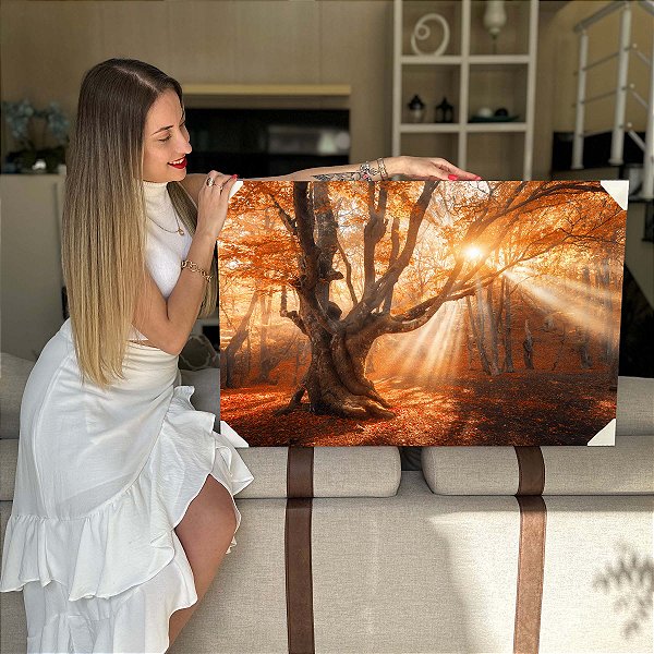 Quadro Decorativo Flutuante Bosque De Outono Natureza Horizontal