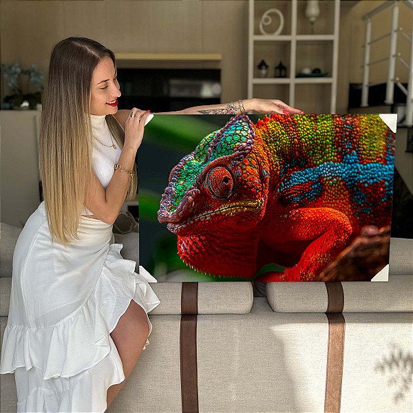 Quadro Decorativo Flutuante Animal Camaleão Colorido Floresta Horizontal