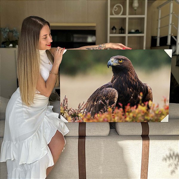 Quadro Decorativo Flutuante Animal Selvagem Águia Real No Campo Horizontal