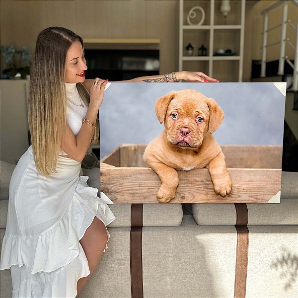 Quadro Decorativo Flutuante Pets Filhote de Cachorro Bordeaux Bebe Horizontal