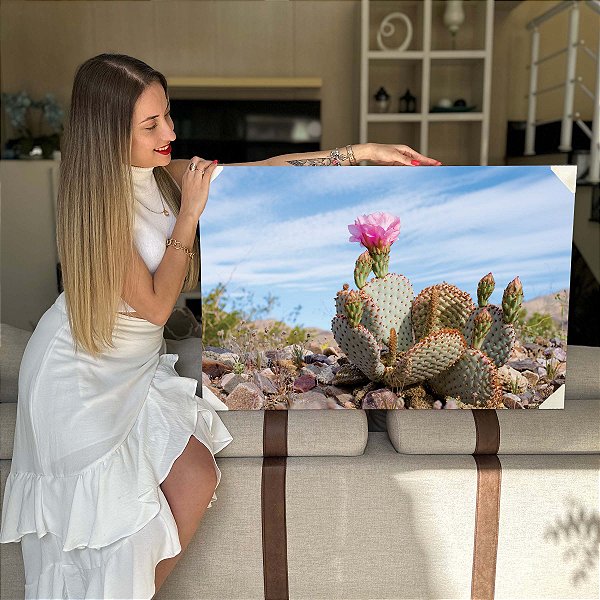Quadro Decorativo Flutuante Natureza Floral Cacto em Flor Rosa Horizontal