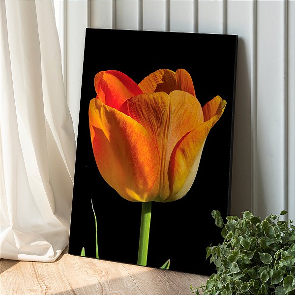 Quadro Decorativo Canvas Floral Flor Tulipa Laranja com Fundo Preto Vertical