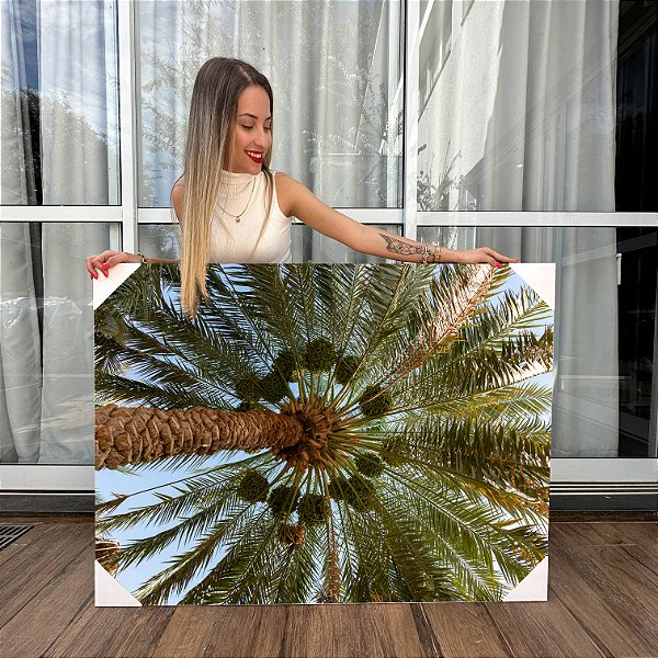 Quadro Decorativo Canvas Paisagem da Copa da Palmeira Horizontal
