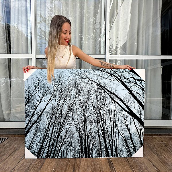 Quadro Decorativo Canvas Paisagem Arvores Galhos Secos Horizontal