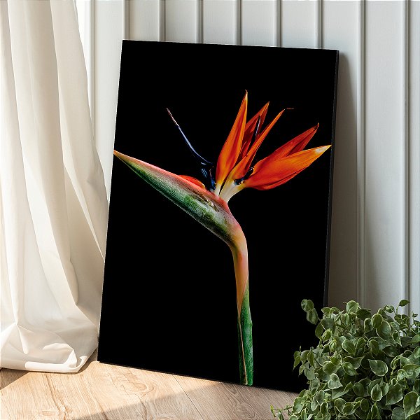 Quadro Decorativo Canvas Flor Strelitzia reginae Ave do paraíso Vertical