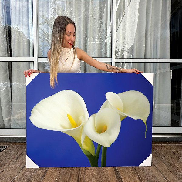 Quadro Decorativo Canvas Floral Flor Copo de Leite Branco Horizontal