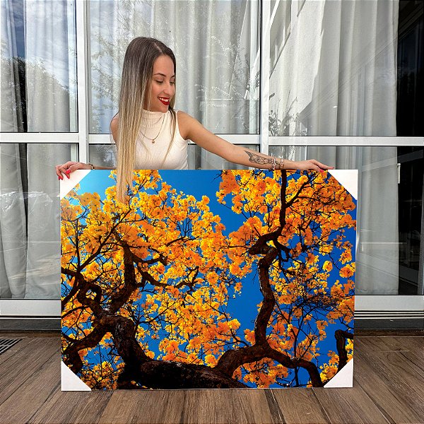 Quadro Decorativo Canvas Paisagem de Copa de Ipê Amarelo Horizontal