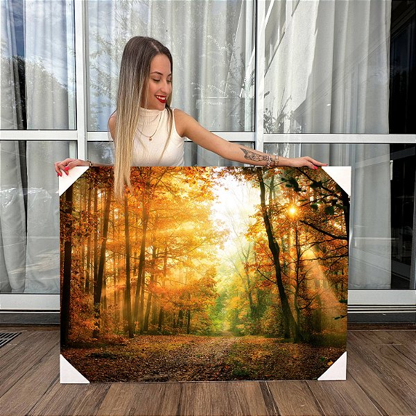 Quadro Decorativo Canvas Paisagem Natureza Bosque ao Amanhecer Horizontal