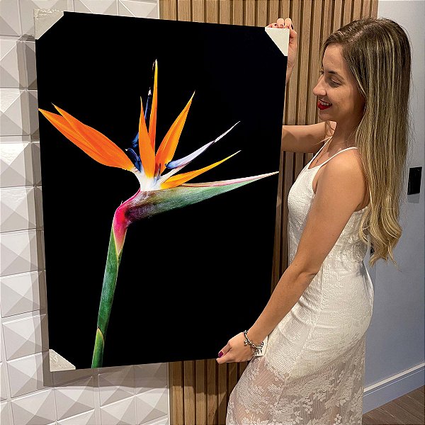 Quadro Decorativo Flutuante Flor Strelitzia reginae Ave do paraíso Vertical