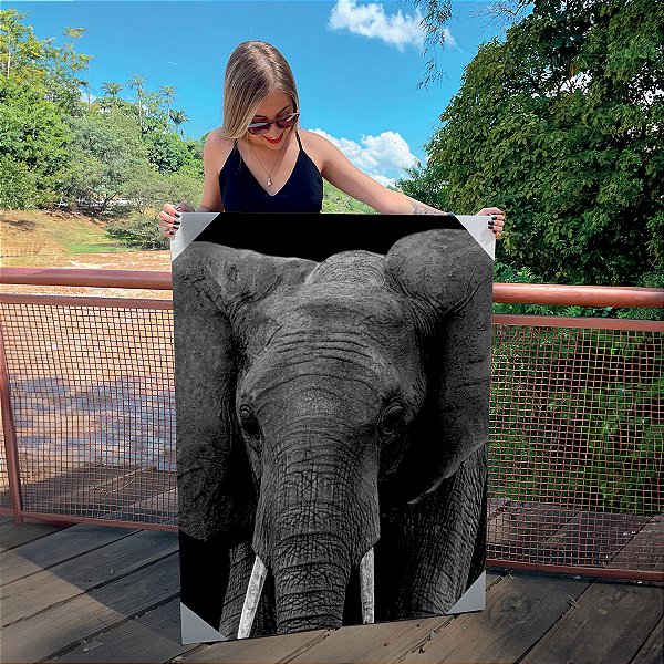 Quadro Decorativo Canvas Animais Elefante Fundo Preto