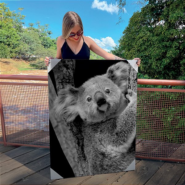 Quadro Decorativo Canvas Animais Coala Preto e Branco