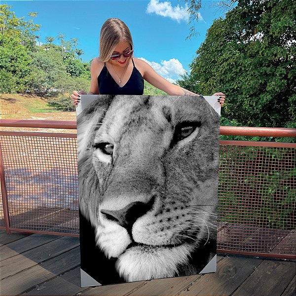 Quadro Decorativo Canvas Animal Leoa Perfil Preto e Branco