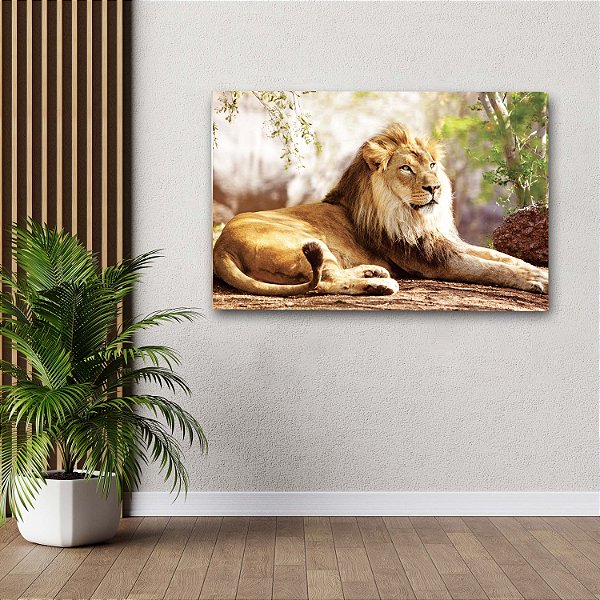 Quadro Decorativo Flutuante Animal Selvagem Leão Deitado na Selva Horizontal
