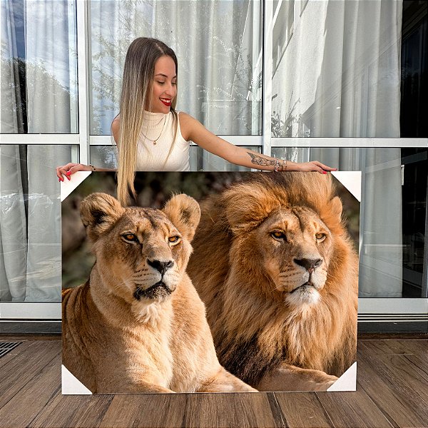 Quadro Decorativo Canvas Animais Casal De Leões Deitados Horizontal