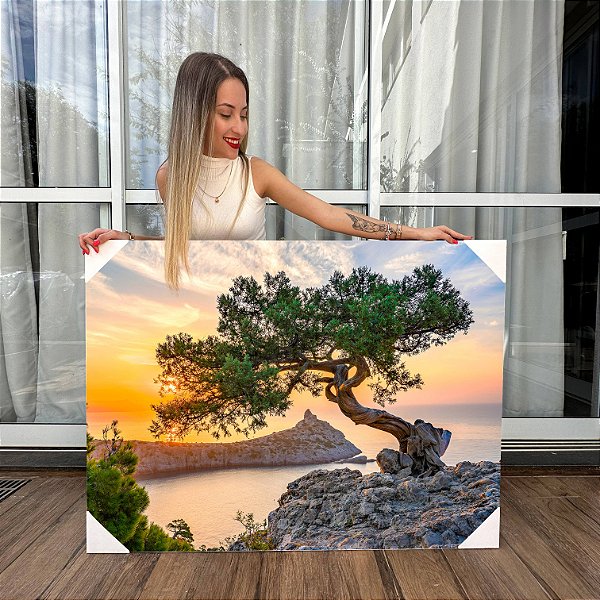 Quadro Decorativo Canvas Paisagem Árvore Bonsai Japonês Horizontal