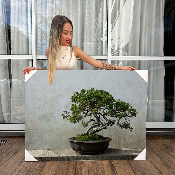 Quadro Decorativo Paisagem Vaso Bonsai Japonês Horizontal