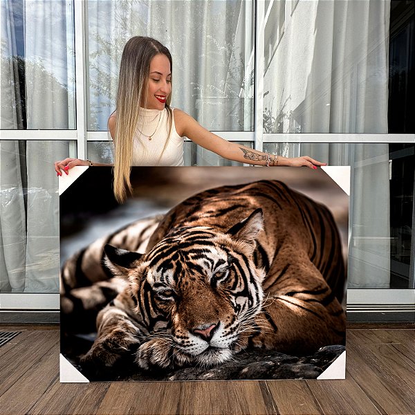 Quadro Decorativo Canvas Animais Tigre Sonolento Deitado Horizontal