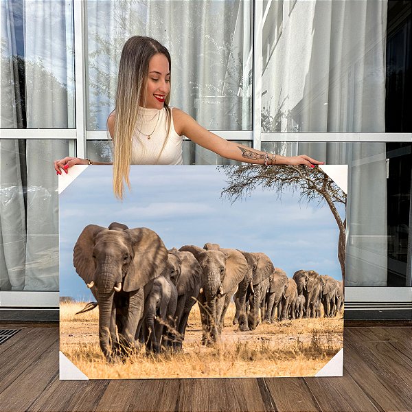 Quadro Decorativo Canvas Animais Manada de Elefantes Enfileirados Horizontal