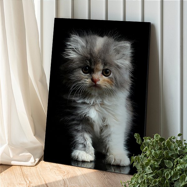 Quadro Decorativo Canvas Pet Gato Filhote Branco e Peludo Vertical