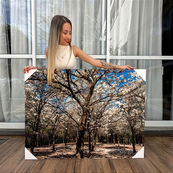 Quadro Decorativo Canvas Paisagem com Árvores Grande e Flores Brancas na Floresta Horizontal