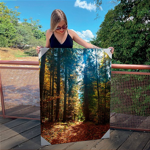 Quadro Decorativo Canvas Paisagem Clareira em Meio a Floresta com Árvores Altas Vertical