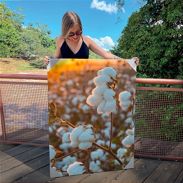 Quadro Decorativo Canvas Paisagem Plantação de Algodão em Detalhes Vertical