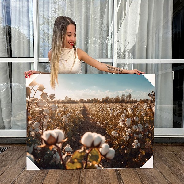 Quadro Decorativo Canvas Paisagem de Grande Campo de Plantação de Algodão Horizontal