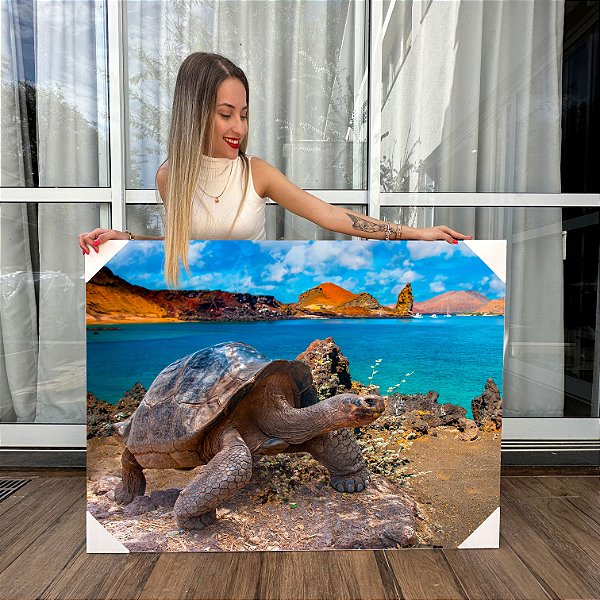 Quadro Decorativo Canvas Paisagem de Praia com Tartaruga  Horizontal
