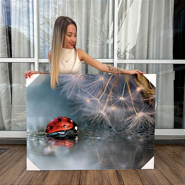 Quadro Decorativo Canvas Paisagem Dente de Leão com Joaninha Horizontal