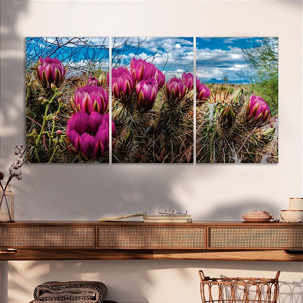 Quadro Decorativo Canvas Trio Floral Cactos com Flor Rosa