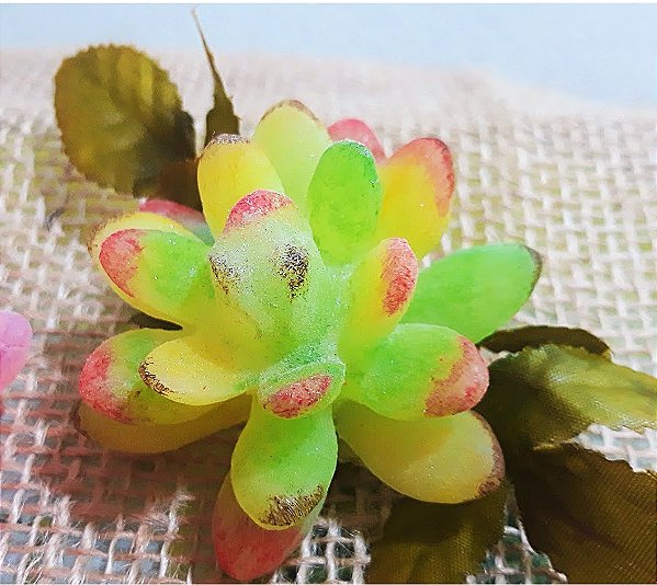 kit Charmosa Suculenta | A Delicadeza que Perfuma e Transforma o seu Dia!l