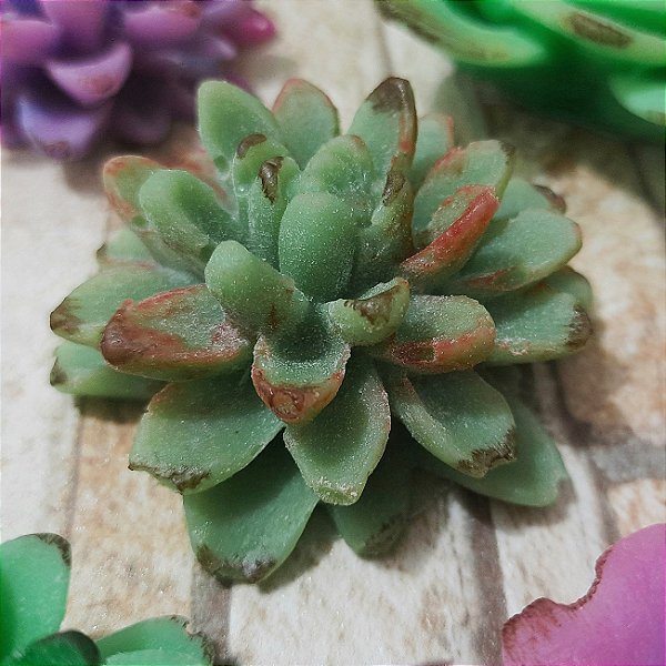 Kit Suculenta Delicada em Sabonete Artesanal | A Beleza de um Gesto Suave