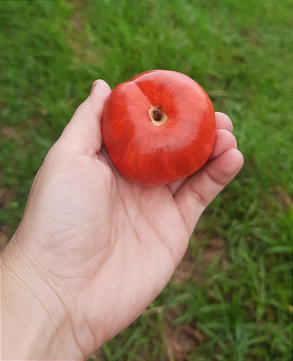 Sabonete Artesanal Maçã | Perfume Vibrante e Toque Realista