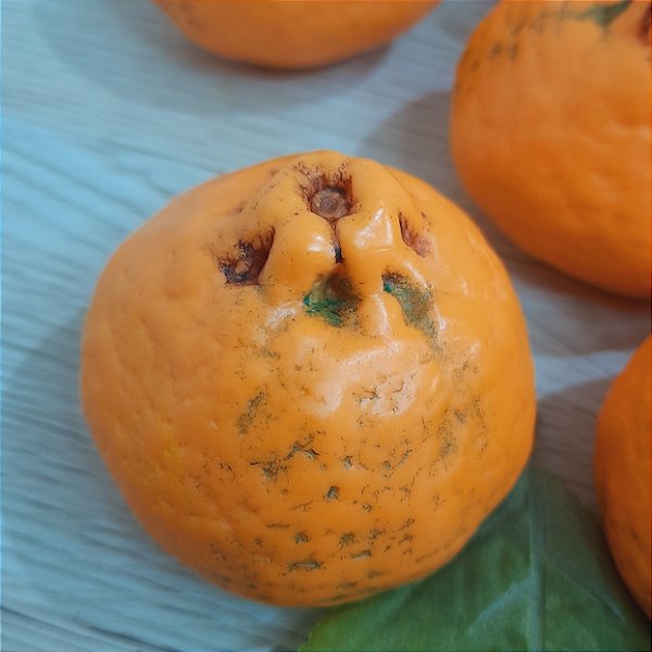 Sabonete Artesanal Bergamota | Perfume Cítrico e Realista