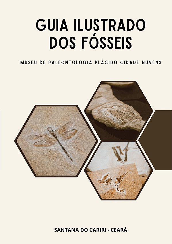 GUIA ILUSTRADO DOS FÓSSEIS