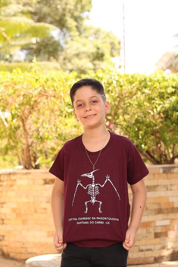 Camisa Cretáceo - Pterossauro