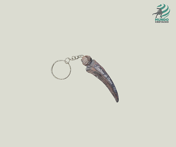 CHAVEIRO GARRA DO SANTANARAPTOR