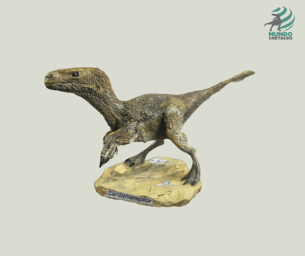 Santanaraptor placidus