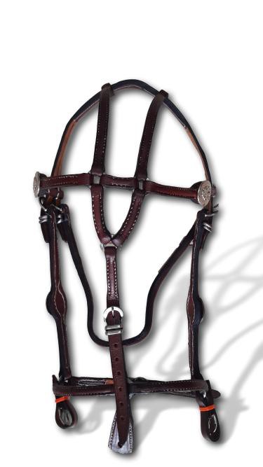 Cabeçada Medalha Marrom (oleada)