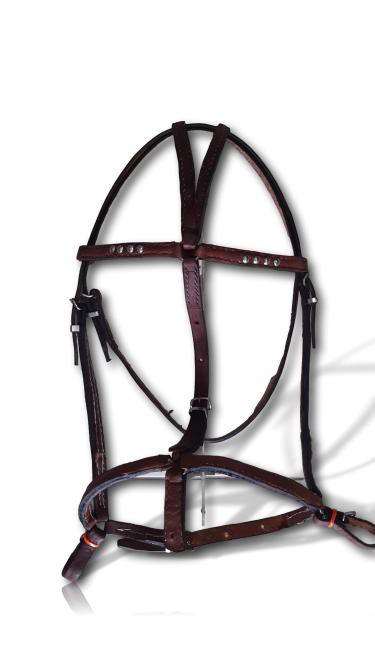 Cabeçada para Campo Marrom