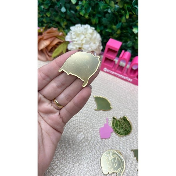 Aplique de Acrílico Dourado Mapa RS 3,5cm - Unidade