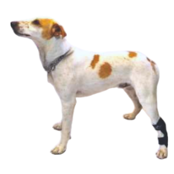 Tornozeleira Rígida